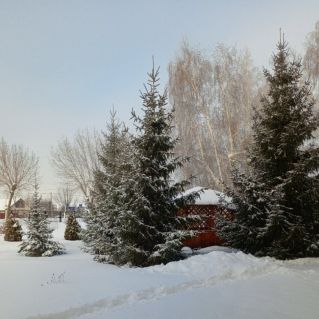 ШКОЛЬНЫЙ ДВОРИК