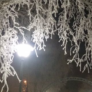 Авторская фотография "Зима кружевница"