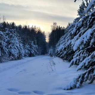 Снежная красота