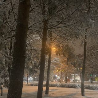 Зимняя сказка