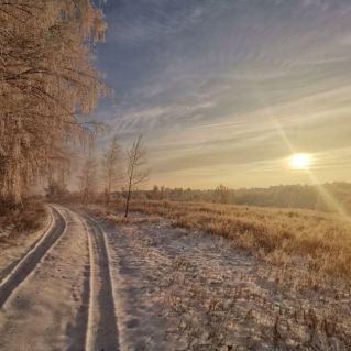 Красота зимней природы Рязанского края