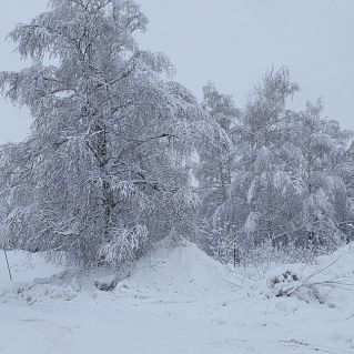 Зимние узоры