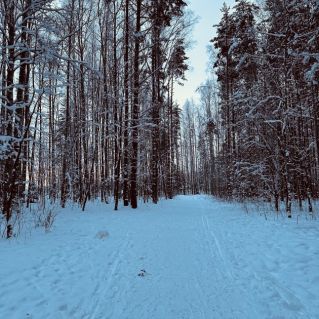 Янинский лес