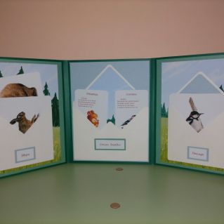 Лэпбук "Южный Урал. Животные"