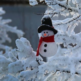 Снежный путешественник