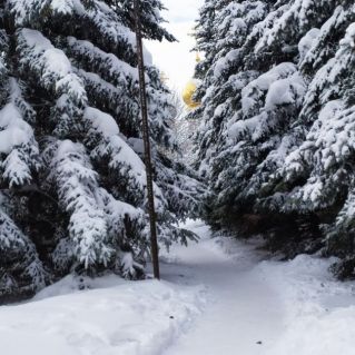 Зимняя дорога в Храм