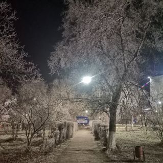 Зимнее утро