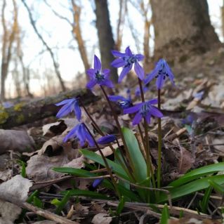 Прекрасное рядом
