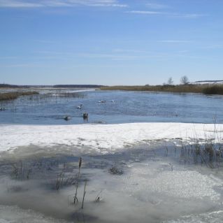 Март- начало весны!