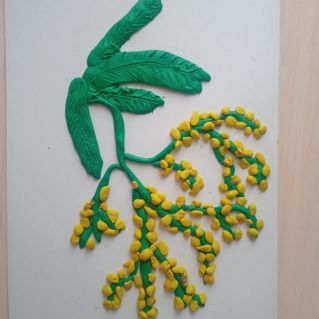 "Веточка мимозы"