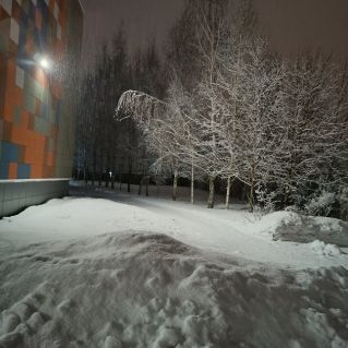 "Зимнее утро"