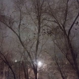 "Грачи прилетели"