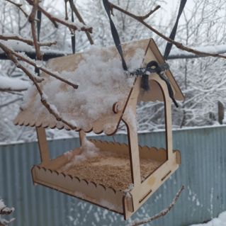 "Покорми птиц зимой"