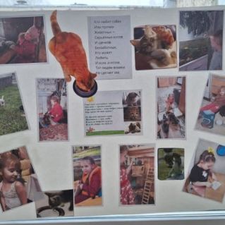 Стенгазета "Забота о животных"