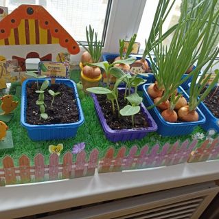 Огород на подоконнике " Простоквашино "