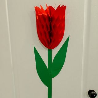 Модуль для оформления группы " Тюльпан"