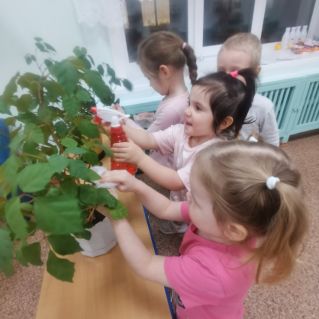 Экологическое воспитание