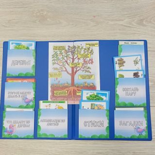 Лэпбук "Деревья"