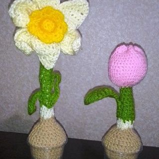 Первоцветы