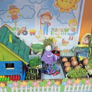 Витамины на грядке