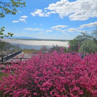 Весна над Амуром