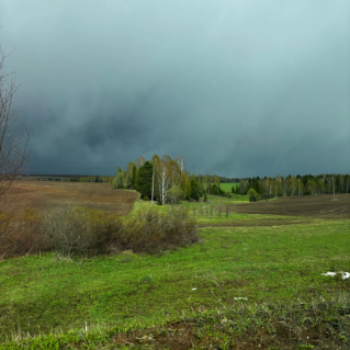 Краски Весны