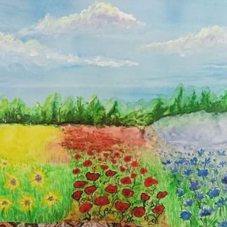 Лето - это море цвета!