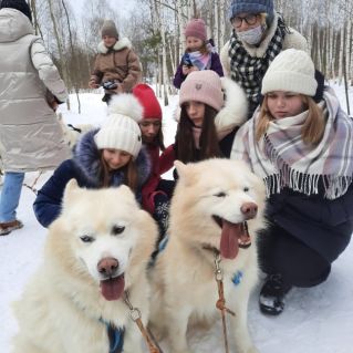 В гости к хаскам и маламутам