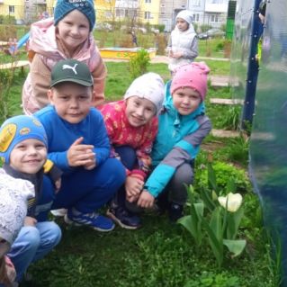 Наша клумба