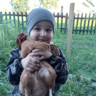 Лето в деревне