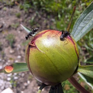 Всероссийский творческий конкурс-выставка фотографий для педагогических работников «Остановись, мгновенье!»