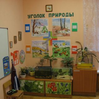 Природа в группе