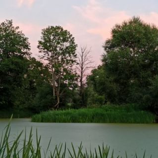 "Розовый закат"