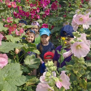 "Как у нвс в садочке , расцвели цветочки!"