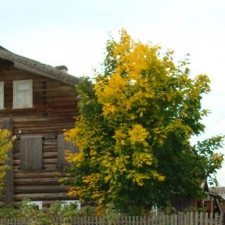 Осеннее настроение