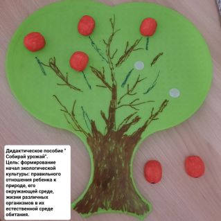 Дидактическое пособие " Собирай урожай".