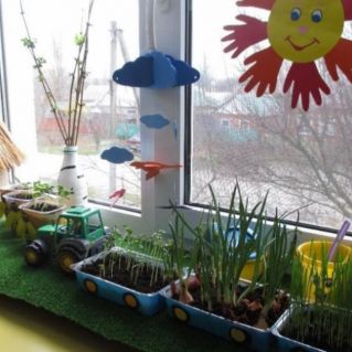 «Уголок природы и экспериментирования в детском саду»