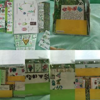 Лэпбук "Цветы"