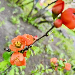 "Все краски лета"