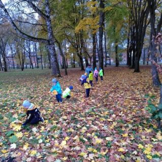 Осенние "цыплята"