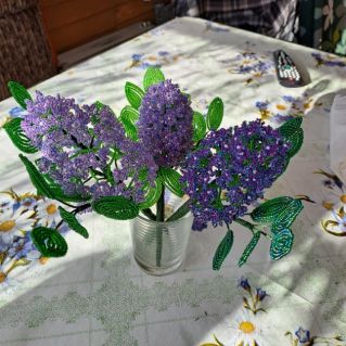 Ветка сирени