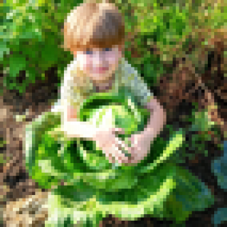 Мама ,а правда  ,что меня в капусте нашли?