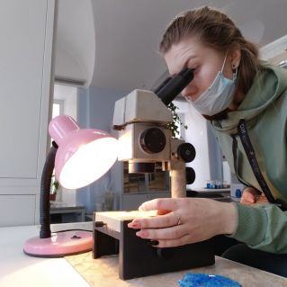 Запоминающийся миг