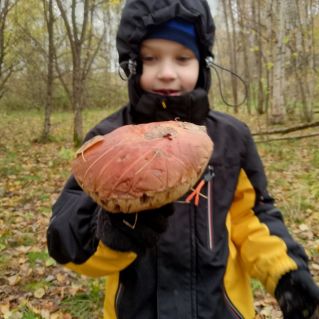 "Подарок осени".