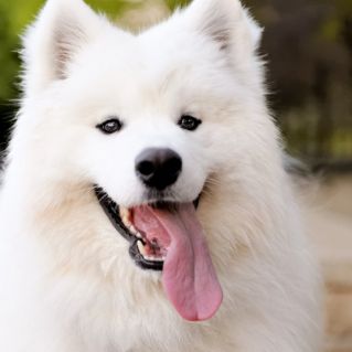 Название работы много символов всероссийский творческий конкурс для педагогических работников образовательных учреждений «Время года - осень»