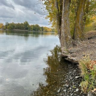 "Осенний колорит"