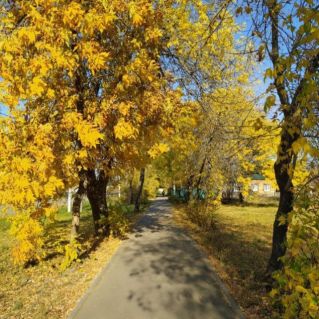 Золотая осень