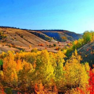 Осенний калейдоскоп