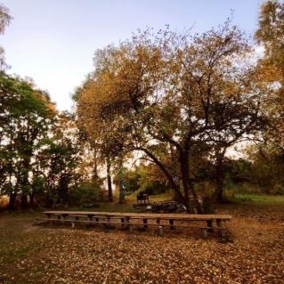 "Очаровательная пора осени"