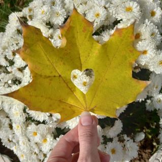 Яркие моменты осени